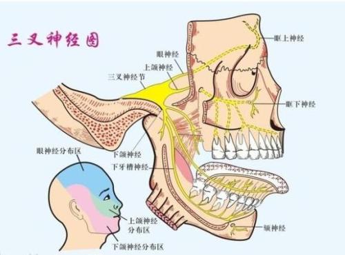合肥华安脑科医院傅先明院长科普三叉神经痛必备知识